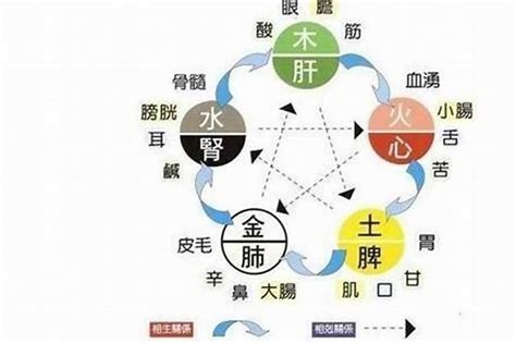 五行水弱|五行缺水會怎樣？缺水命格與補救方法分享